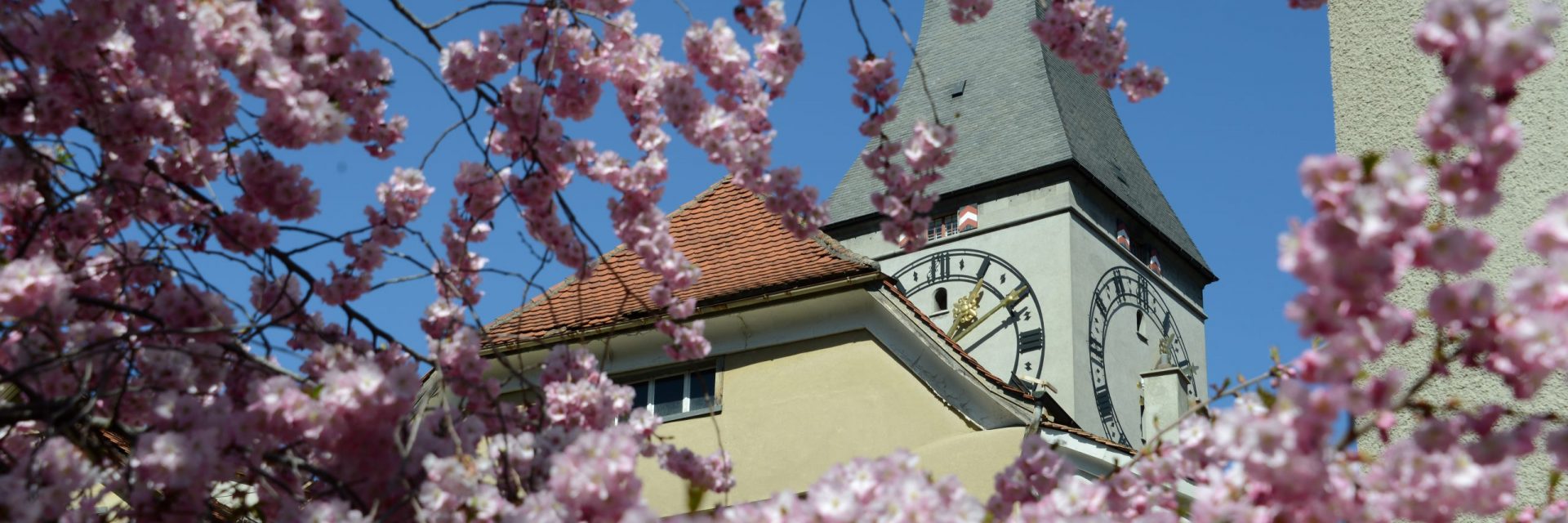 Martinskirche, Frühling, Kirchen